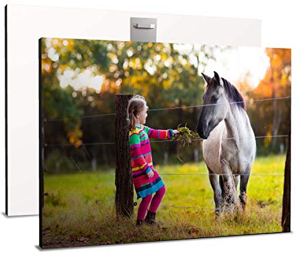 wandmotiv24 Ihr Foto auf Aluminium 45 x 30 cm (BxH) - Querformat - Aluminium SOFORT ONLINE VORSCHAU, personalisiertes Wandbild, Blechschild Metall, Foto gestalten, personalisierte Foto-Geschenke