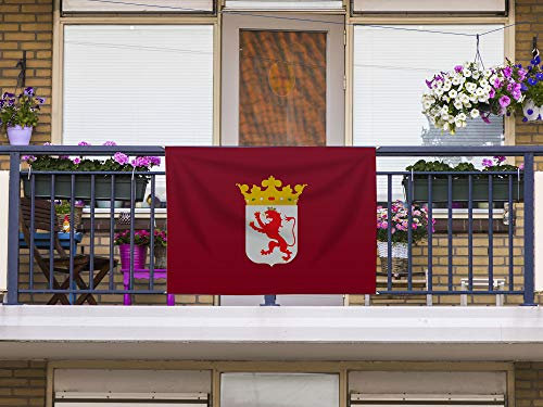 Oedim Bandera de León Sin Palo | 150x85cm | Reforzada y con Pespuntes | Bandera con 4 Lazos y Resistente al Agua