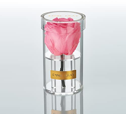 EG EMMIE GRAY Crystal Infinity | Acryl | – Traumhafte Infinity Rose, 1-3 Jahre haltbare Rose, Acrylgefäß mit echter, konservierter Rose, edle Premiumrose (Baby Pink)