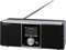 TELESTAR S 20 Digitalradio (Stereo, DAB+ / DAB/UKW, Farbdisplay, Direktwahltasten, Wecker, Favoritenspeicher) silber/schwarz
