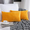 Sunia Kissenbezüge 30x50 cm Set mit 2 Samt Moderne Kissenbezüge dekorativen quadratischen rechteckigen Kissenbezüge für Couch Bett Sofa Stuhl Schlafzimmer Wohnzimmer, Gelb