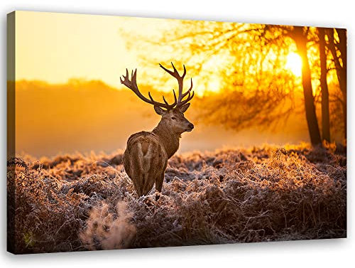 Feeby Vlies Leinwandbild Hirsch Wiese Reh Geweih 90x60 cm Druckbild Wandbild Wanddekoration Deko Wand Aesthetic Natur Pflanzen Wildes Tier Sonnenuntergang Orange