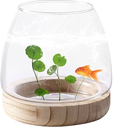 Hilai Aquariums, Small Fish Tank Glass Vase Fish Bowl Vases Hydroponic Transparent Plant Vases for Home Office Decor