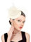 Dressfan Fascinator Hut Damen Hochzeit Schleier Vintage Stirnband Gatsby Haarreif 20er 50er Pillbox Kopfschmuck Haarschmuck für Hochzeit/Cocktail/Gatsby/Teeparty/Karneval, Beige