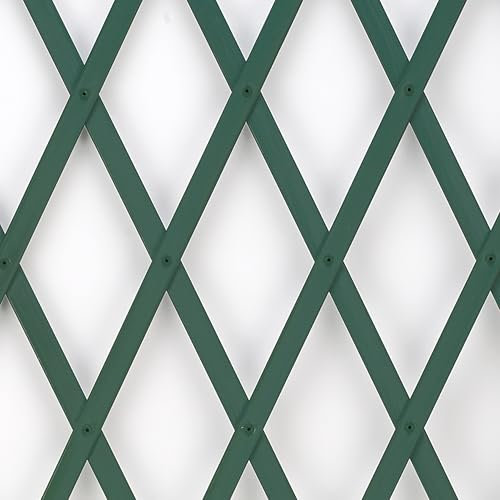 TENAX Treplas 50x200 cm, Verde, Traliccio Estensibile in PVC per Sostegno a Muro di Fiori e Piante Rampicanti