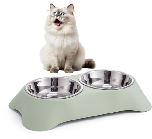 Dog Bowls Double Dog Water and Food Bowls Stainless Steel Bowls with Non-Slip Resin Station, Pet Feeder Bowls For Small Dogs and Cats (Green)