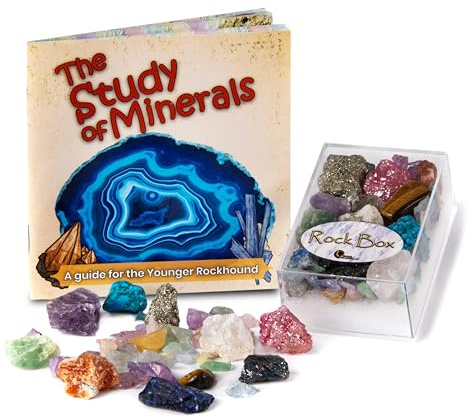 Rock Box – Einzigartige echte Mineralsammlung mit Lernbroschüre zum Studium der Mineralien