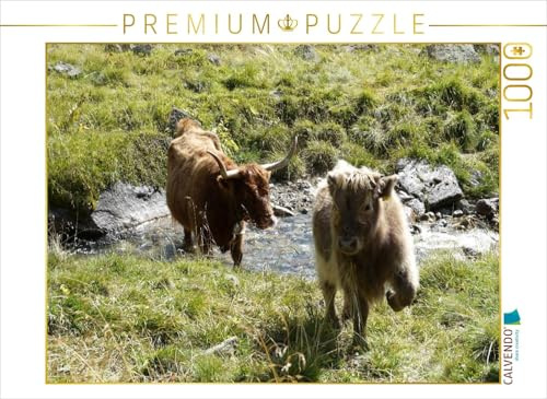 CALVENDO Puzzle Scottish Highland Kälber Spielen am Bach | 1000 Teile Lege-Größe 64 x 48 cm Foto-Puzzle für glückliche Stunden