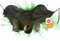 Bushpeak Hängematte mit Moskitonetz Shield Pro inklusive Transporttasche max 150 kg Belastung