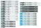 BOSCH T30C T-Shank Multi-Purpose Jigsaw Blades, 30 Piece, Assorted, Jig Saw Blade Set for Cutting Wood and Metal