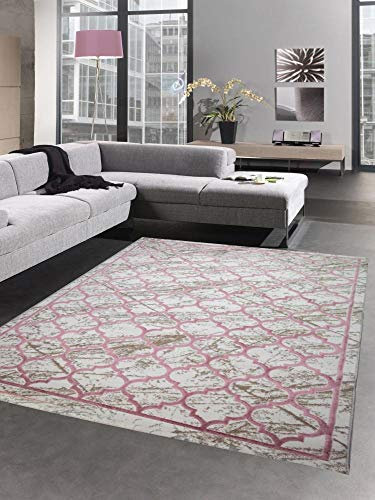 CARPETIA Tapis de Salon avec Motif marocain Beige Rose Größe 160x230 cm