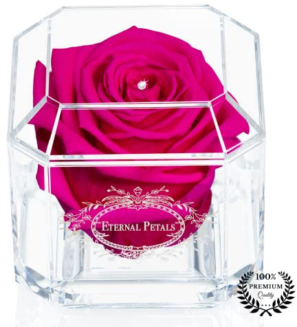 A 100% Real Rose That Lasts Years - Eternal Petals, Handmade in UK – White Gold Solo with A Clear Crystal (Hot Pink)