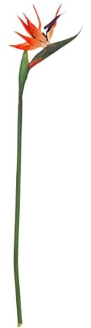 Atmosphera - Künstlicher Paradiesvogel-Stängel - H83 cm - Mehrfarbig