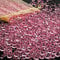 GEFIRE 4000 Stück Diamanten deko, Tischdeko Rosegold Streudeko Hochzeit, 3 Größen Diamantene Hochzeit Deko, Deko Steine Kristall, für Vasenfüllung, Esstisch, Hochzeit, Geburtstagsfeier (Roségold)