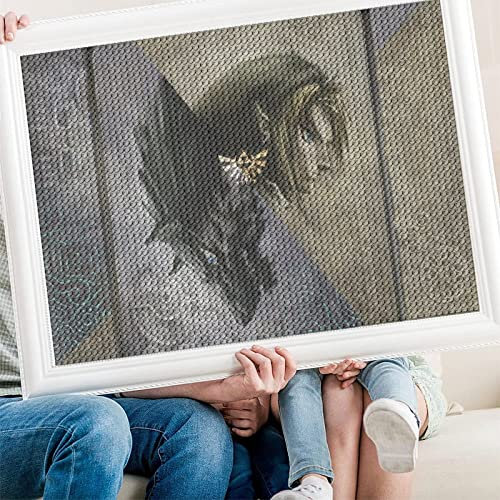PAWCA DIY 5D Diamond Painting Kits for Adults Kids, The Legend of Zelda art,Full Drill Diamond Embroidery Kits Cross Stitch Crystal Rhinestone Pictures Arts Craft Home Wall Decoration（50x60cm）