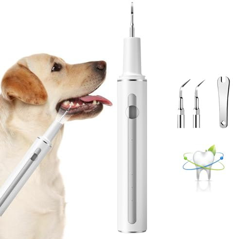 prabensei Ultraschall Zahnbürstenreiniger für Haustiere, 3 Modi, Weiß, geeignet für Hunde und Katzen