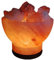 PLUS HOME Lámpara de Sal del Himalaya Natural + 1 Bombilla de Led de Enchufe Europeo y Lamparitas de multicolor-Lampraritas de Selenite (Cuenco-P)