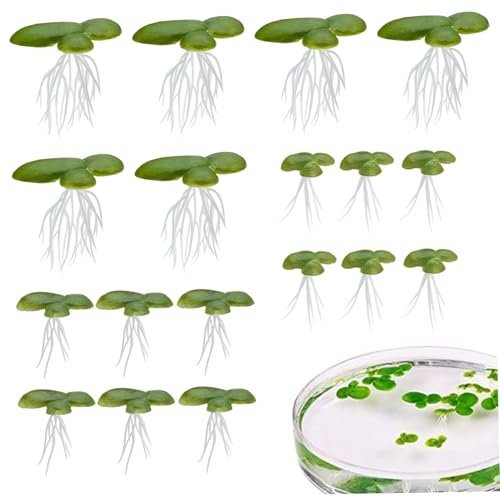 Banziaju Plantas de Acuario flotantes Plantas de Acuario flotantes, 18 Piezas Mini Algas Verdes Falsas con Tallo, 3 tamaños de plástico para decoración de los Pisos