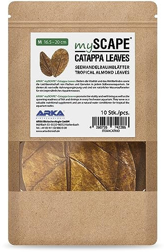 ARKA mySCAPE-CATAPPA Leaves Lot de 10 purificateurs d'eau naturels en feuilles de badamier pour aquarium d'eau douce 16-20 cm Améliore la santé des poissons et des crevettes