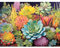 luckyarina Sukkulente Diamond Painting Erwachsene,5d Diamond Painting Sukkulenten,Pflanze Diamont Painting Arts Craft für Home Wand Decor(30x40cm)