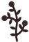 Foppapedretti Appendialbero Appendiabiti da Parete, Wenge