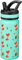 Fanhaw 550 ml Gourde Isotherme avec Paille - Bouteille Enfant en Acier Inoxydable Double Paroi, Anti-Fuite, Sans BPA, Pour Garçons et Filles (Vert - Petit Renard)