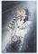 KPNEUDCZZ Superstar Michael Jackson Poster, dekoratives Gemälde, Leinwand, Wandposter und Kunstdruck, moderne Familienschlafzimmer-Dekoration, Poster, 20 x 30 cm