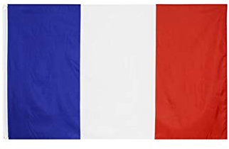 Stormflag Drapeau de la France 90x150cm Drapeau francais 3x5ft polyester 90g avec œillets et Double couture