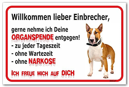 AdriLeo Schild - Vorsicht Bullterrier - Willkommen Lieber Einbrecher - (40x60cm) / Hellbraun/weiß - Achtung Hund Wachhund robust langlebig UV-beständig wetterfestes Warnschild