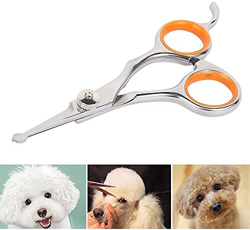 Ciseaux pour Chien Acier Inoxydable Tranchant 13×5.5×0.5cm Ciseaux Toilettage Chien Professionnel pour Chats Chiens et Autres Animaux de Compagnie