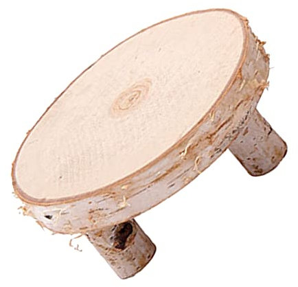 NUOBESTY Kleiner Tisch Aus Birke – Natürliche Holzscheibe Wohndekor Perfektes -mittelstück