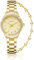 CIVO Uhren Damen Gold Armbanduhr: Klein Damenuhr Edelstahl - Wasserdicht Uhr für Frauen mit Armband