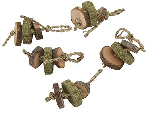 Gavigain 5pcs Lapin à Mastication des brochettes de gâteau d'herbe