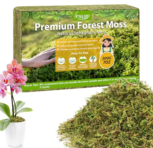 Legigo 200g Sphagnum Moos für Pflanzen- Langfaserige Moos für Orchideen | 100% Natürliches Torfmoos zur Speichert Wasser für Sukkulenten, Fleischfressende, Monstera, Stecklinge, Terrarien & Reptilien