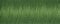 Gutermann Sew All Polyester Thread, 100Mtr, Kiwi (0919)