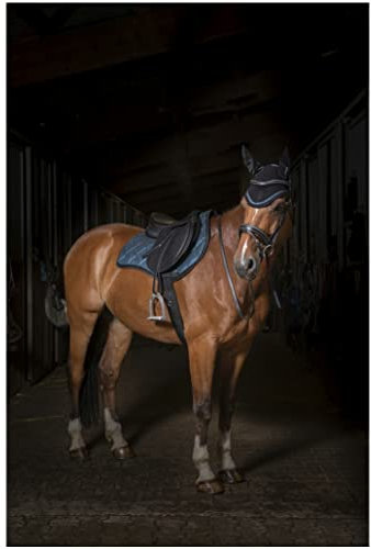 Schabracke GLITTER EquiTheme grün Warmblut Vielseitigkeit