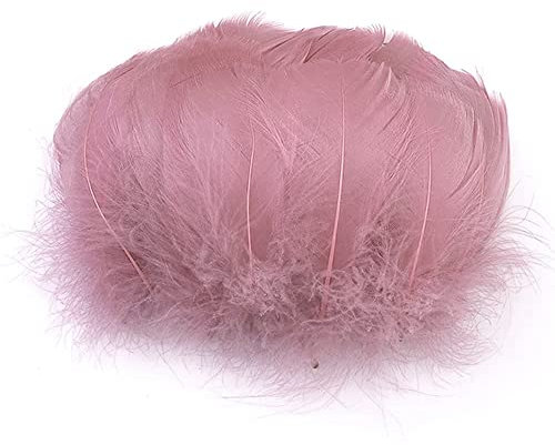 100 Stück Bunte Feder zum Basteln Naturfedern Gänsefedern Indianer Bastelfedern für DIY Kunstwerk Masken Hüte Ohrringe Haarschmucken Traumfänger Hochzeit Karneval Party Dekoration,5-8cm Altes Rosa