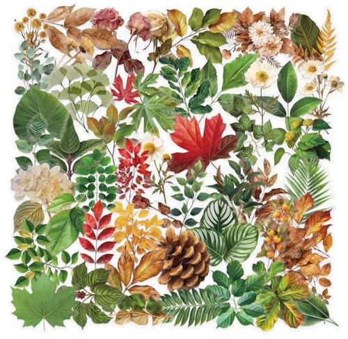 kaensc 50-Piece Green Botanical Plant Stickers, Vinyl, Outdoor, Floral, Jungle, Leaf, Variety Pack, 50 Count