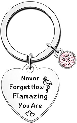 JETTOP Porte-clés flamant rose pour femme - Cadeau flamant rose pour filles - Never Forget How Flamazing You are, Argenté., Taille unique, Porte-clés