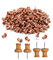 50 Wood Push Pins - Heavy Duty, Rustproof, Perfect for School & Office Use - Pinboard, Bulletin Board, Map, Cork & Notice Board