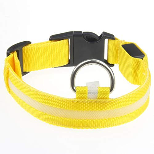 Leuchthalsband Hund, Batterien Hundehalsband Leuchtend, Hundehalsband Leuchtend, Leuchtband Hund, Hundeleuchthalsbänder, Led Halsband für Hunde