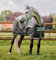 Horseware® Amigo® Hero Ripstop-Pferdedecke, 50 g, leicht