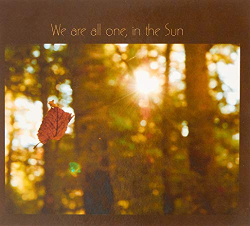 We Are All One, In The Sun: A Tribute To Robbie Basho