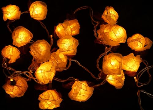 GURU SHOP Blüten LED Lichterkette - 20 Stk Rose Weiß