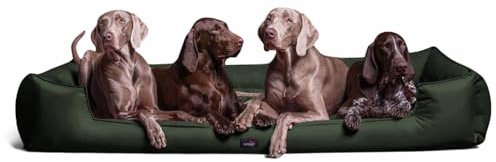 tierlando® Orthopädisches Hundebett Goofy für große Hunde XL bis XXXL mit waschbarerem Polyester-Bezug, ideal bei Gelenkproblemen Größe: 160x110cm | Farbe: 26 Olivgrün