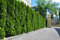 15x Thuja Smaragd 80–100 cm | Lebensbaum Heckenpflanzen mit festem Ballen | 5 m Sichtschutzhecke immergrün & winterhart | Edelthuja
