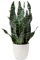 Sansevieria Plantes de serpent artificielles de 42 cm, plantes artificielles d'intérieur en pot,plantes artificielles pour décoration d'intérieur,plantes artificielles pour décoration de salle de bain
