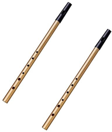 2 Stück Irische Pfeife, Penny Whistle mit 6 Löchern, Traditionelle Tin Whistle, Aluminiumlegierung Irish Whistle Schlüssel D Messing für Anfänger