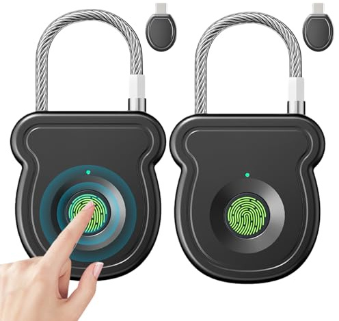 Lot de 2 cadenas à empreintes digitales, serrure de charge de type C, serrure biométrique intelligente, serrure électronique intelligente, clé USB portable pour gym, bureau, sac à dos, valise, armoire