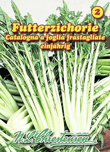 N.L. Chrestensen 28070120 Futterzichorie (35 g) (Zuckerhutsamen)